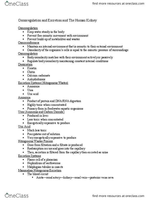 BIO 200 Lecture Notes - Lecture 14: Malpighian Tubule System, Uric Acid, Osmoregulation thumbnail