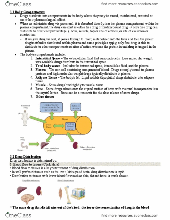 Pharmacology 2060A/B Lecture 3: Lecture 3 thumbnail