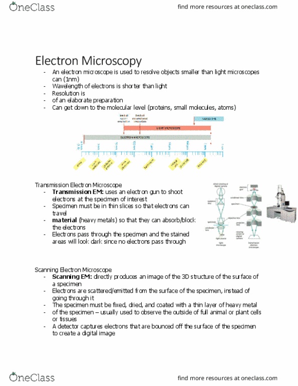 BIOL 2021 Chapter Notes - Chapter 2.2: Transmission Electron Microscopy, Scanning Electron Microscope, Electron Microscope thumbnail