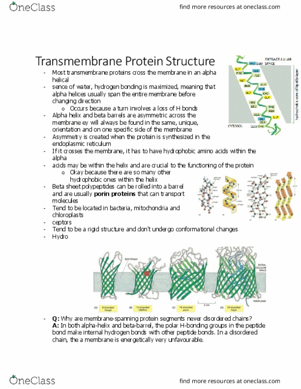 BIOL 2021 Chapter Notes - Chapter 2.6: Alpha Helix, Golgi Apparatus, Protein Structure thumbnail