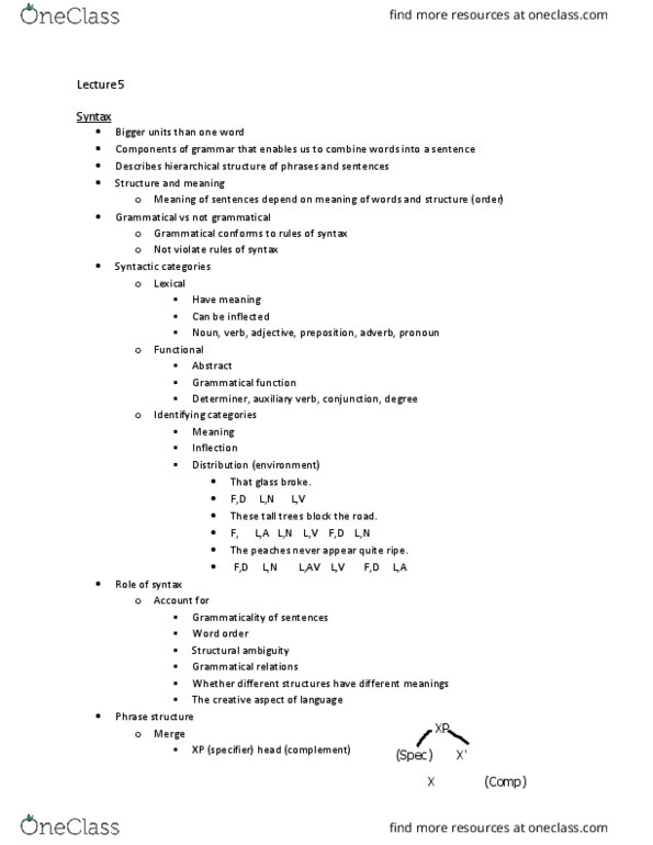 Anthropology 1027A/B Lecture 5: Lecture 5- Syntax thumbnail