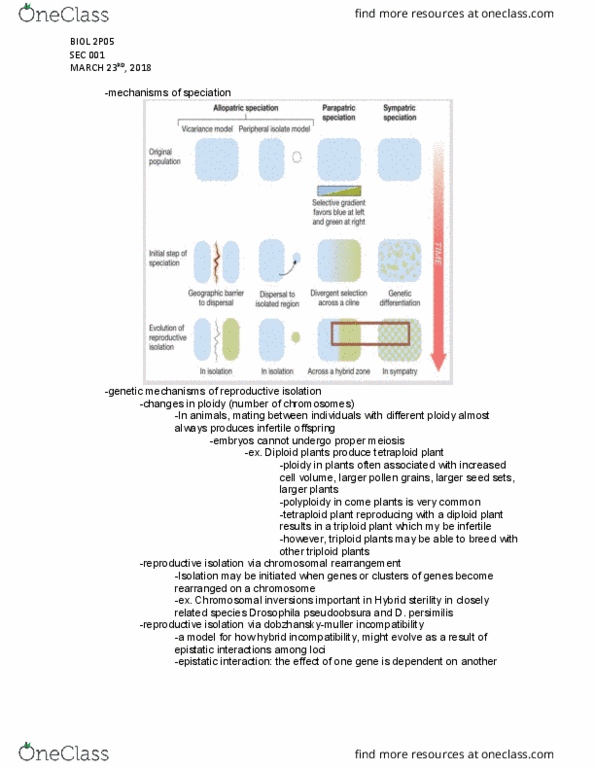 BIOL 2P05 Lecture Notes - Lecture 27: Heterogametic Sex, Black Howler, Chromosomal Rearrangement thumbnail