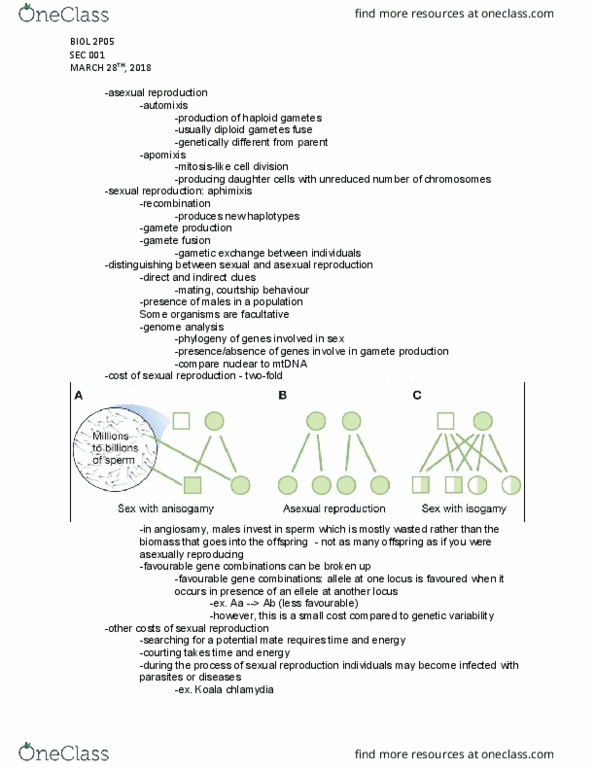 BIOL 2P05 Lecture Notes - Lecture 29: Apomixis, Gamete, Linkage Disequilibrium thumbnail