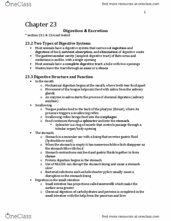 Biology 1225 Chapter Notes - Chapter 23: Malpighian Tubule System, Helicobacter Pylori, Peptic Ulcer thumbnail