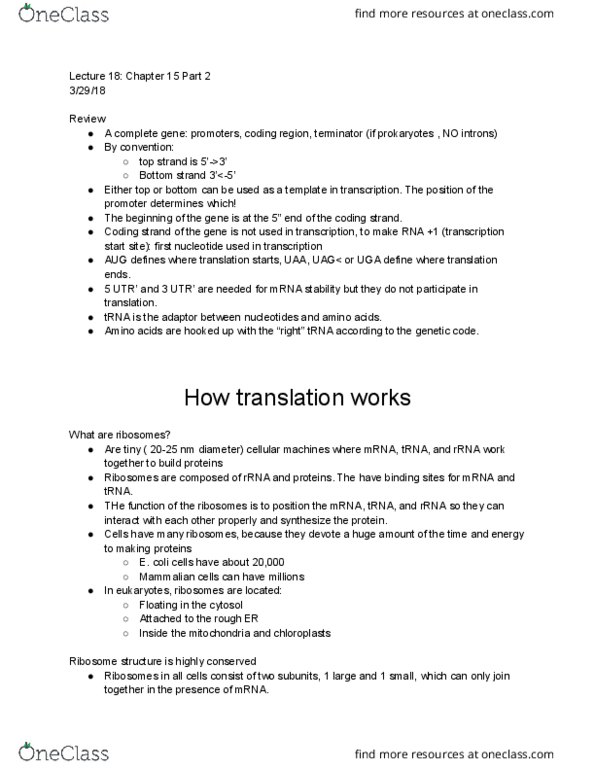 BIO 326 Lecture Notes - Lecture 18: Coding Strand, Transfer Rna, Ribosomal Rna thumbnail