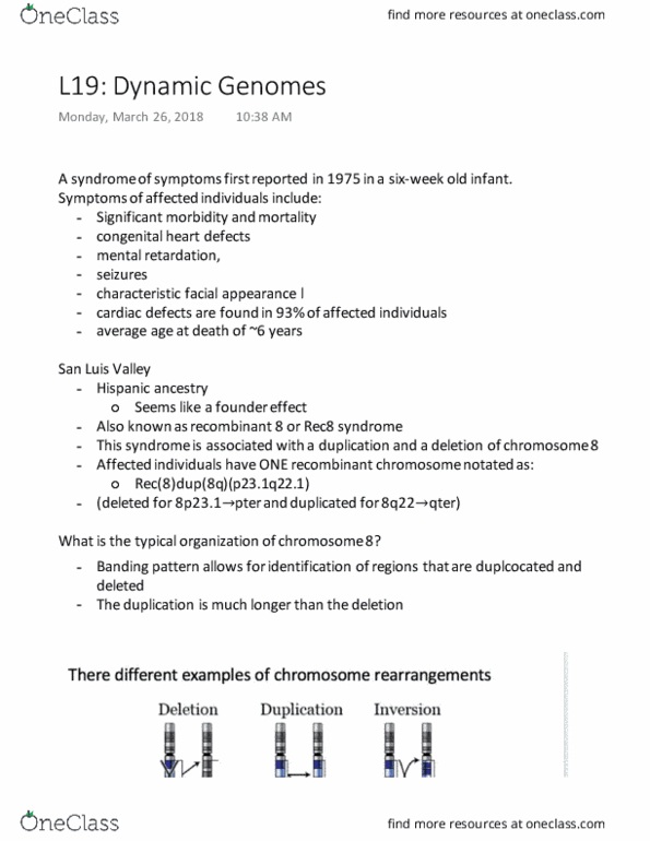 LIFESCI 2G03 Lecture Notes - Lecture 20: Congenital Heart Defect, Intellectual Disability, Chromosome thumbnail