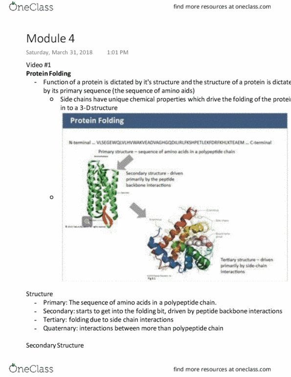 BIOCHEM 2EE3 Lecture Notes - Lecture 4: Coiled Coil, Alpha Helix, 310 Helix thumbnail