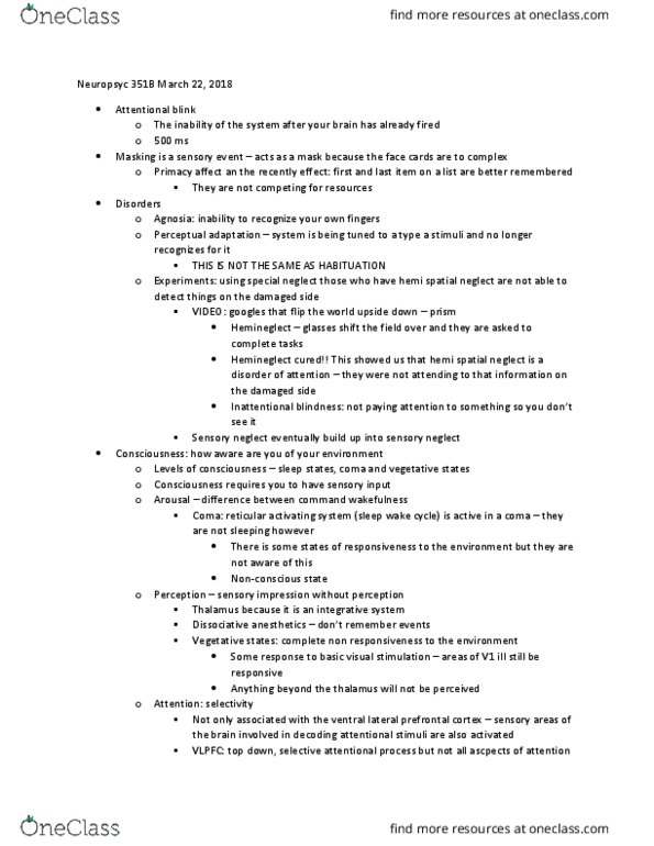 PSYC 351B Lecture Notes - Lecture 18: Reticular Formation, Attentional Blink, Inattentional Blindness thumbnail