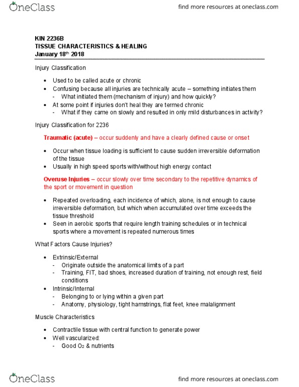 Kinesiology 2236A/B Lecture 4: Lecture 4 - Tissue Characteristics and Healing thumbnail