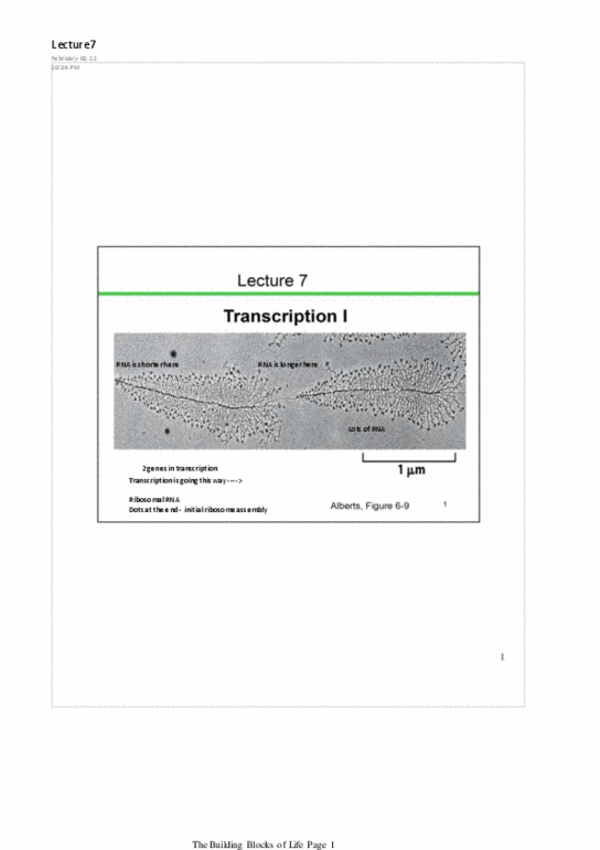 BIO130H1 Lecture Notes - Eukaryotic Transcription, Cistron, Genetic Recombination thumbnail