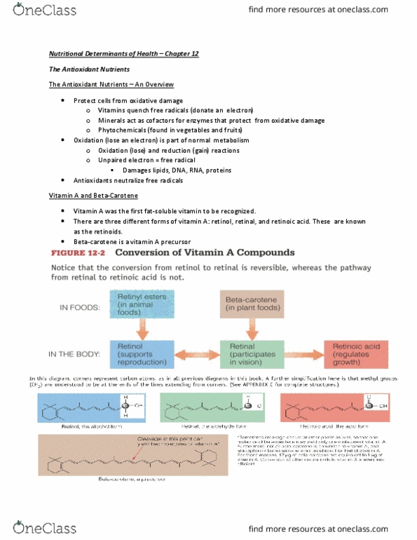HSS 2342 Lecture Notes - Lecture 12: Vitamin A Deficiency, Retinol, Beta-Carotene thumbnail