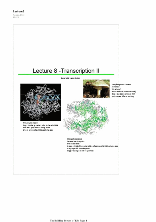 BIO130H1 Lecture Notes - Lecture 8: Garland Science, Ultracentrifuge, Spliceosome thumbnail
