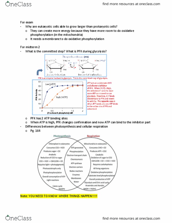 biology-1202b-study-guide-spring-2018-midterm-oxidative-phosphorylation