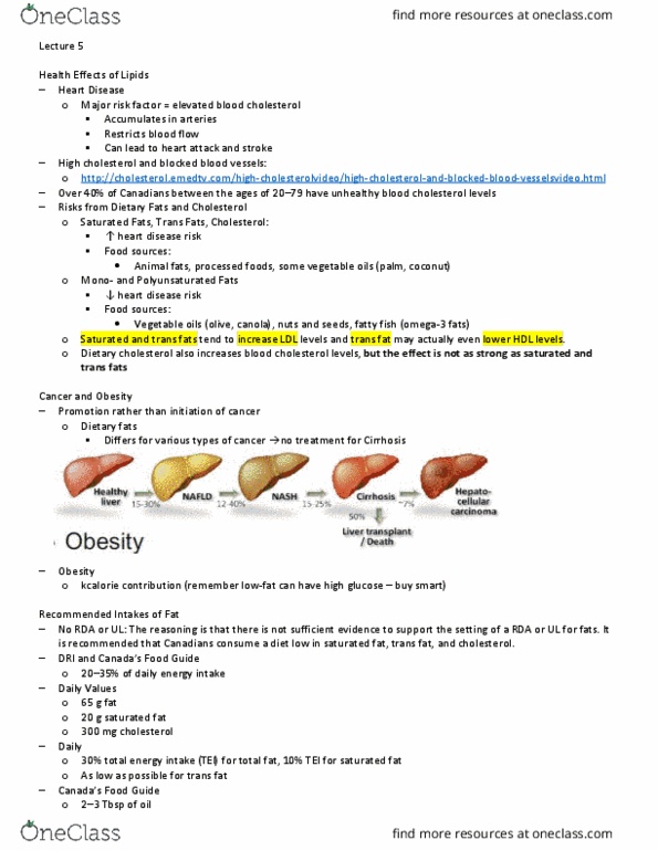 HSS 2342 Lecture Notes - Lecture 15: Trans Fat, Saturated Fat, Cirrhosis thumbnail
