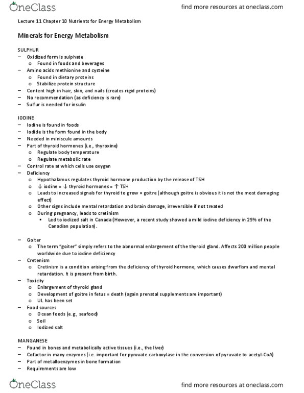 HSS 2342 Lecture Notes - Lecture 33: Iodised Salt, Pyruvate Carboxylase, Thyroid thumbnail