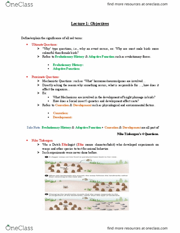 BIOA02H3 Lecture Notes - Lecture 1: Nikolaas Tinbergen, Ethology, Seat Belt thumbnail