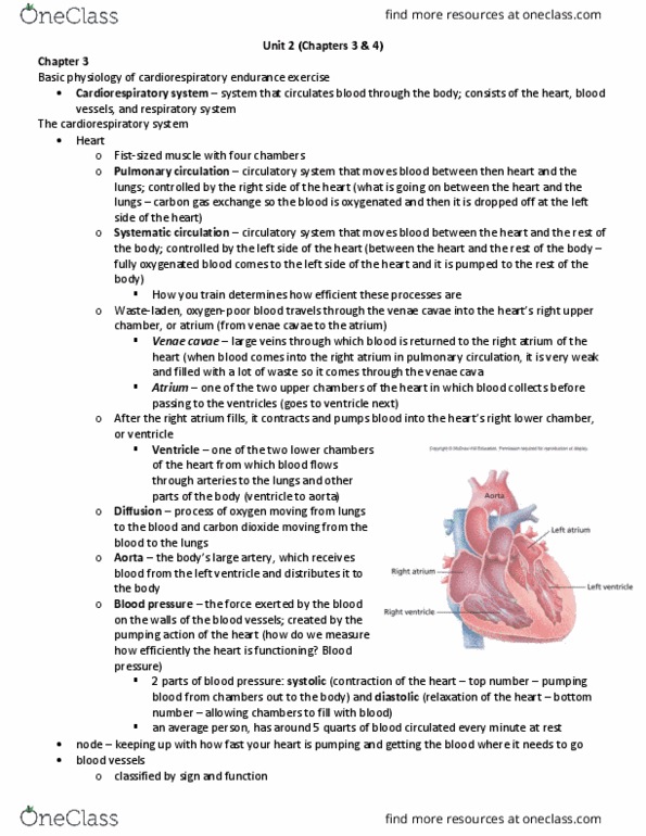 KIN 2504 Chapter Notes - Chapter 3-4: Venae Cavae, Cardiorespiratory Fitness, Pulmonary Circulation thumbnail