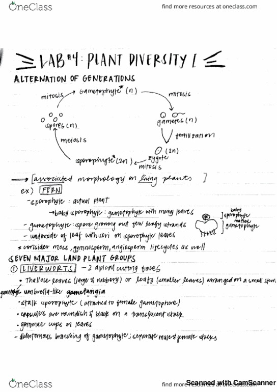 BIS 2C Final: Lab Practical: Lab 4 - OneClass