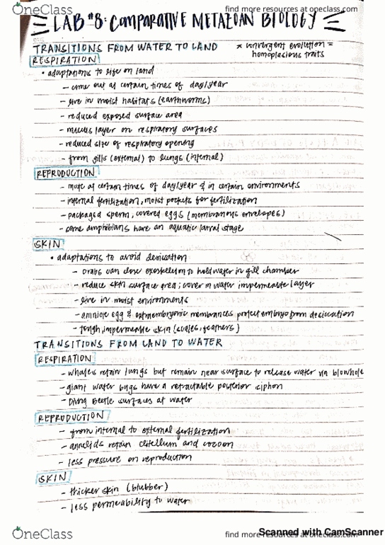 BIS 2C Final: Lab Practical: Lab 8 - OneClass