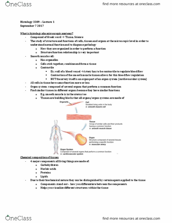 Anatomy and Cell Biology 3309 Lecture Notes - Lecture 1: Smooth Muscle Tissue, Blood Vessel, Histology thumbnail