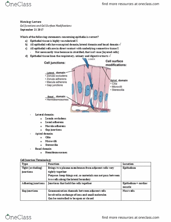 Anatomy and Cell Biology 3309 Lecture 5: Histology Lecture 5 thumbnail