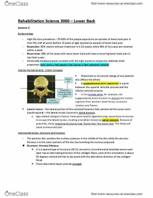 Rehabilitation Sciences 3060A/B Lecture Notes - Lecture 3: Facet Joint, Cauda Equina, Spinal Stenosis thumbnail