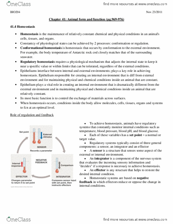 BIO203H5 Lecture Notes - Homeostasis, Blood Sugar, Thermoregulation thumbnail