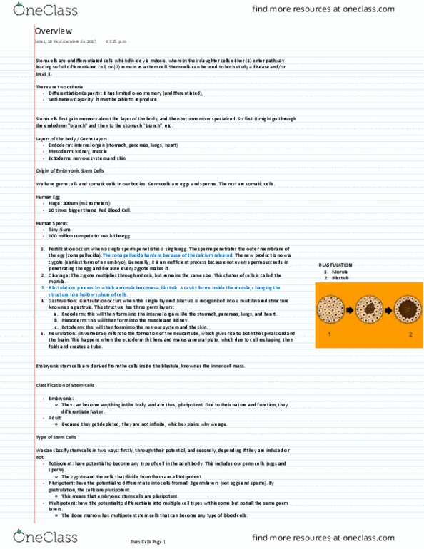 MCD BIO 90 Lecture Notes - Lecture 1: Embryonic Stem Cell, Zona Pellucida, Adult Stem Cell thumbnail