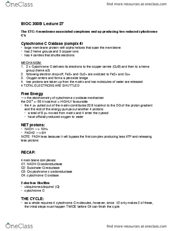 BIOC 300B Lecture Notes - Lecture 27: Cytochrome C, Alpha Helix, Oxidoreductase thumbnail