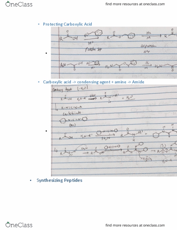 CHEM 140C Lecture Notes - Lecture 19: Carboxylic Acid, Amide thumbnail