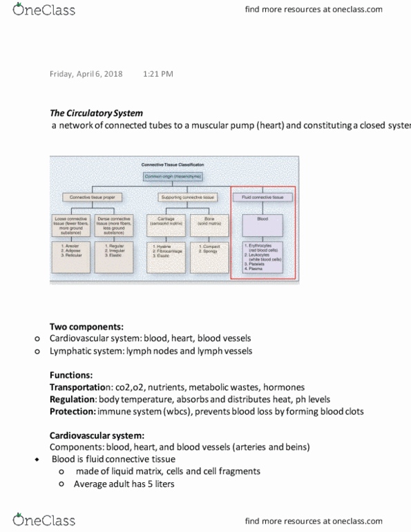 BIOL 240 Lecture Notes - Lecture 2: Circulatory System, Viscosity, Red Blood Cell thumbnail