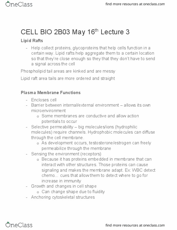 BIOLOGY 2B03 Lecture Notes - Lecture 3: Ribosomal Rna, Cell Cycle Checkpoint, Nuclear Localization Sequence thumbnail