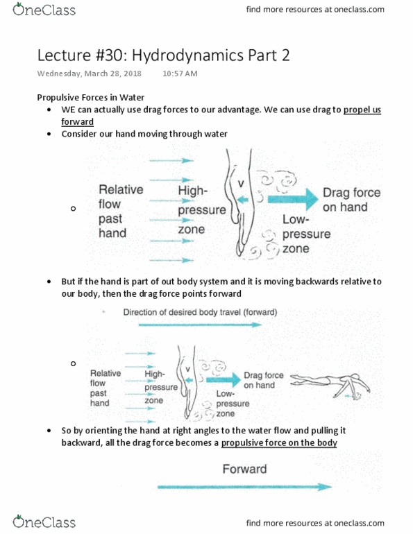 Kinesiology 2241A/B Lecture Notes - Lecture 30: Gyroscope, Barracuda, Butterfly Stroke thumbnail