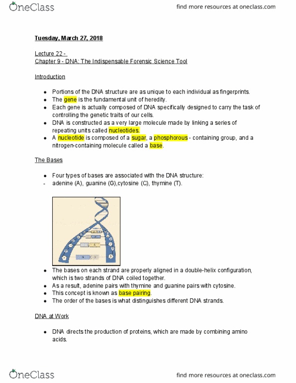 NATS 1575 Lecture Notes - Lecture 22: Guanine, Dna Replication, Nuclear Dna thumbnail