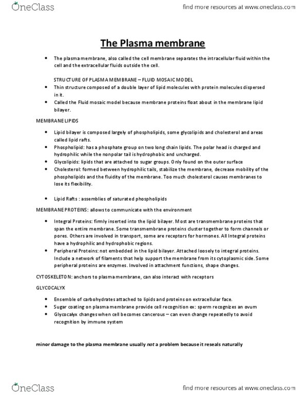 ANP 1105 Chapter Notes -Fluid Mosaic Model, Lipid Bilayer, Extracellular Fluid thumbnail