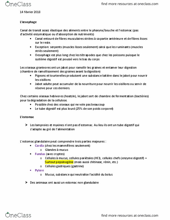 BIO 3558 Lecture Notes - Lecture 13: Muscularis Mucosae, Dune, Rumen thumbnail