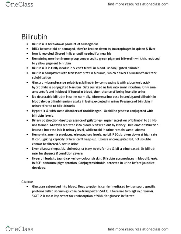 BIOL 2060 Lecture Notes - Lecture 26: Renal Blood Flow, Amine, Inulin thumbnail