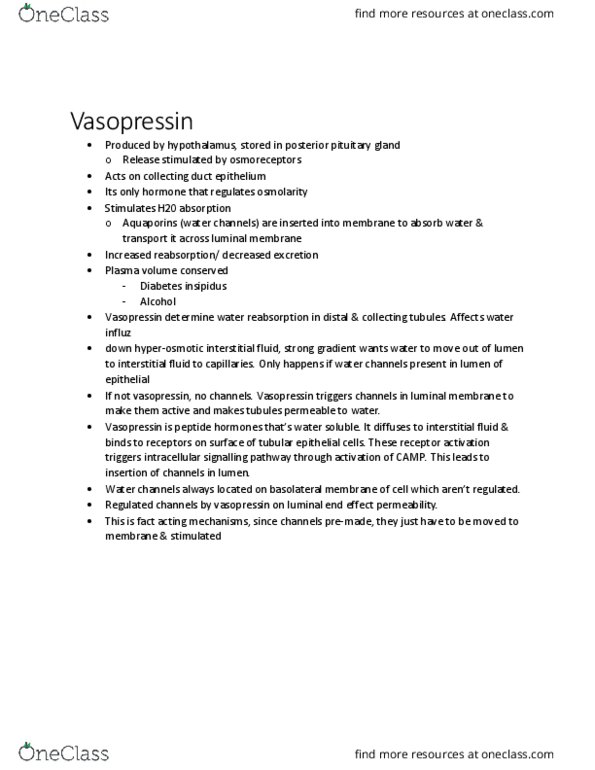 BIOL 2060 Lecture Notes - Lecture 32: Collecting Duct System, Vasopressin, Renal Function thumbnail