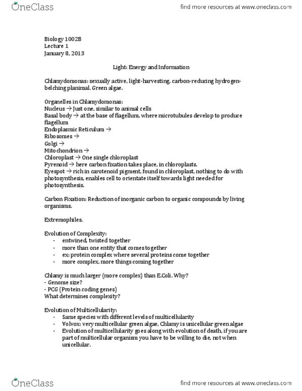 Biology 1002B Lecture Notes - Endoplasmic Reticulum, Carbon Fixation, Pyrenoid thumbnail