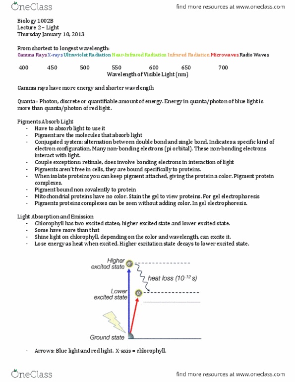 Biology 1002B Lecture Notes - Electron Configuration, Pi Bond, Chlorophyll thumbnail