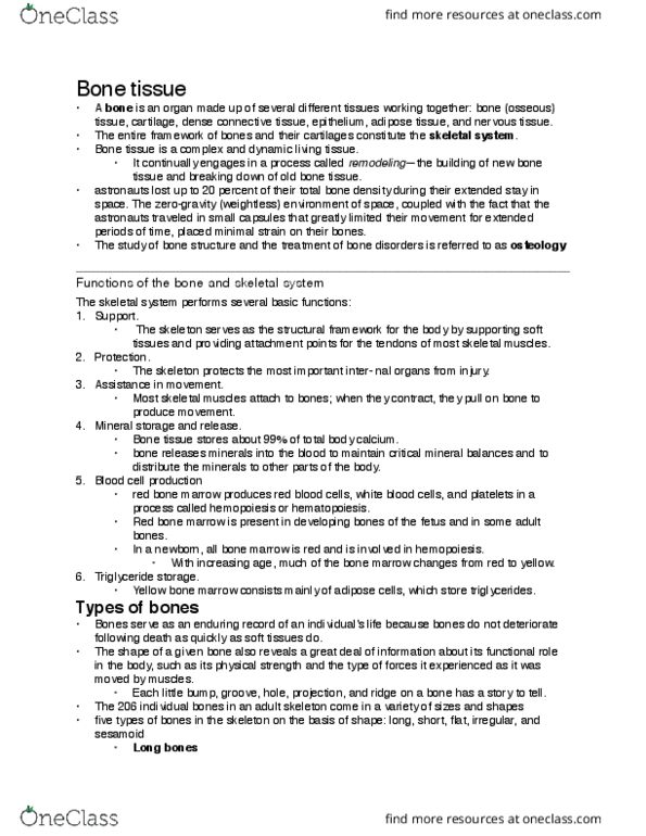 Health Sciences 2300A/B Lecture Notes - Lecture 6: Endosteum, Periosteum, Skeletal Muscle thumbnail