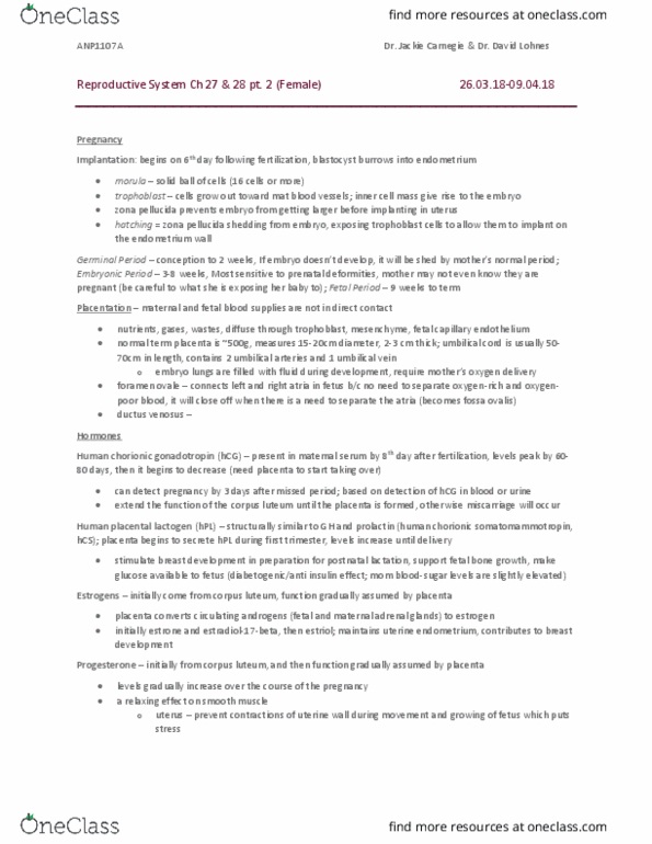 ANP 1107 Lecture Notes - Lecture 21: Renal Function, Aldosterone, Glucocorticoid thumbnail