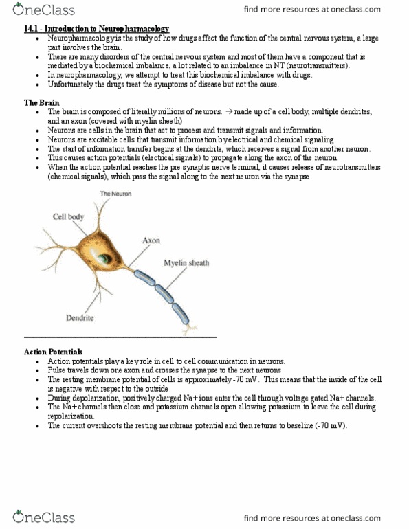 Pharmacology 2060A/B Lecture Notes - Lecture 14: Cellular Respiration, Catechol-O-Methyl Transferase, Myelin thumbnail