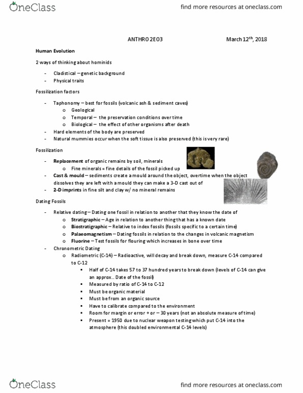 ANTHROP 2E03 Lecture Notes - Lecture 8: Fluorine, Taphonomy, Racemization thumbnail