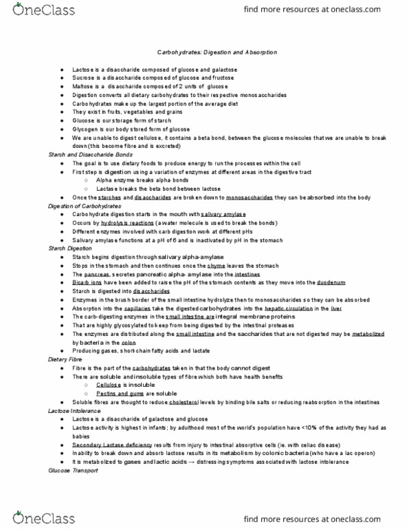 HTHSCI 1LL3 Lecture Notes - Lecture 14: Lactase, Alpha-Amylase, Disaccharide thumbnail