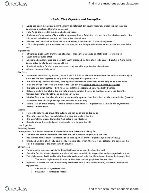 HTHSCI 1LL3 Lecture Notes - Lecture 15: Reverse Cholesterol Transport, Phospholipid, Glycerol thumbnail