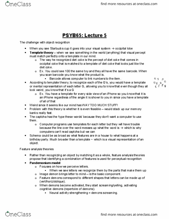 PSYB65H3 Lecture Notes - Lecture 5: Starbucks, Captcha, Two-Streams Hypothesis thumbnail