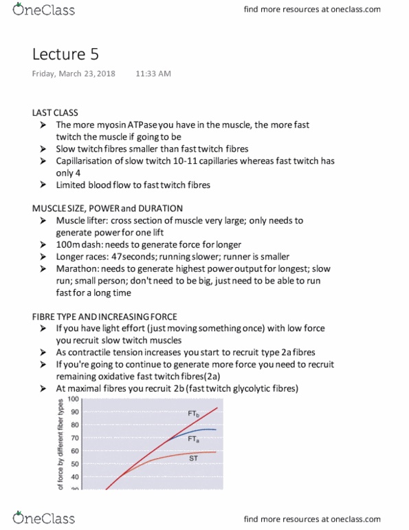 Kinesiology 2230A/B Lecture Notes - Lecture 28: Angular Velocity, Gamma Motor Neuron, Stretch Reflex thumbnail