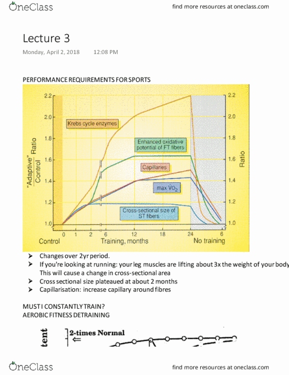 Kinesiology 2230A/B Lecture Notes - Lecture 32: Vo2 Max, Creatine Kinase, Glycolysis thumbnail