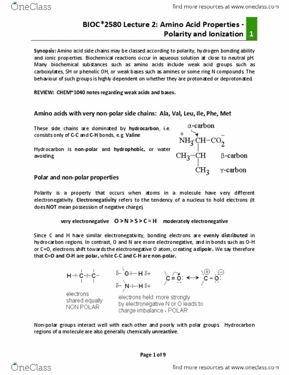 BIOC 2580 Chapter Notes -Hydrogen Bond, Amine, Acid Dissociation Constant thumbnail